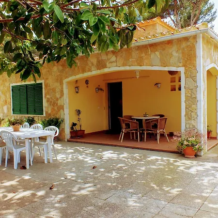 Cerlins Ficus Garden *